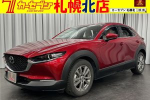 マツダ　CX-30 20S プロアクティブツーリングセレクション　4WD/ナビフルセグTV/バックモニター/ETC/シートヒーター